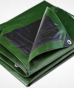 Black Black Green Black