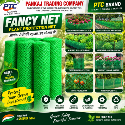 Fancy Net