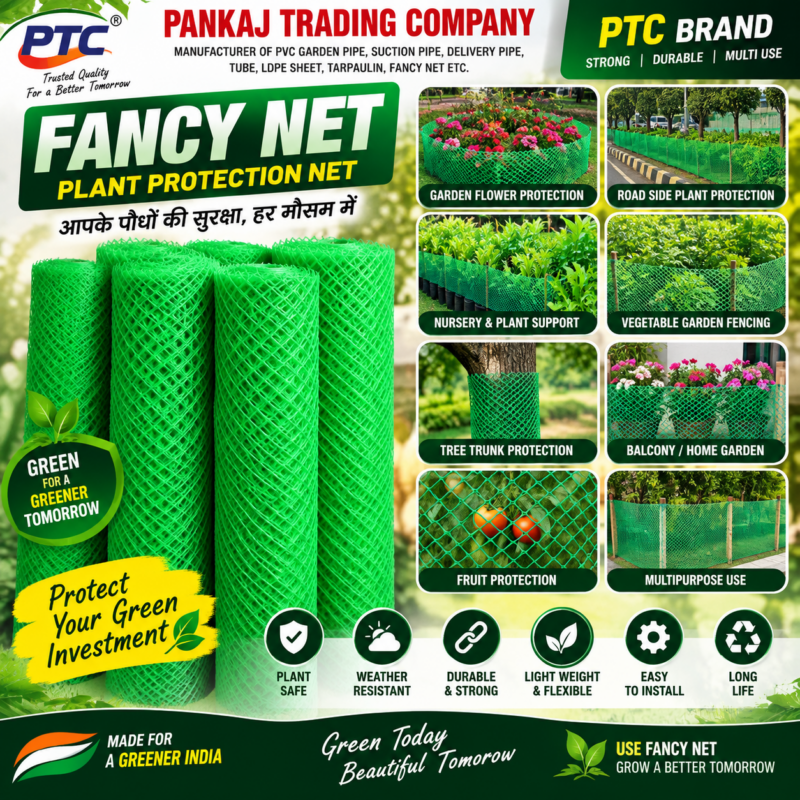 Fancy Net